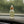 COMING SOON Car Diffuser Bonsai Citrus Ginger - Painted Door on Main
