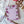 COMING SOON Everyday Pocket Notepads - Painted Door on Main