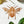 COMING SOON Honeybee Prismatic Window Cling - Painted Door on Main