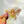 COMING SOON Honeybee Prismatic Window Cling - Painted Door on Main