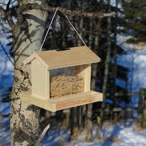 COMING SOON Hopper - Style Bird Feeder - Painted Door on Main