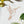 COMING SOON Hummingbird Prismatic Window Cling - Painted Door on Main