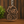 COMING SOON Lumberjack Beaver Walnut Keychain - Painted Door on Main