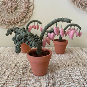 COMING SOON Macrame and Felted Bleeding Heart Forever Plant - Painted Door on Main