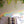 COMING SOON Moth Prismatic Window Cling - Painted Door on Main