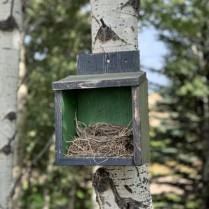 COMING SOON Robin Nesting Platform - Painted Door on Main