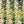 Crochet Cotton Cloths - Variegated - Painted Door on Main