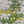 Crochet Cotton Cloths - Variegated - Painted Door on Main