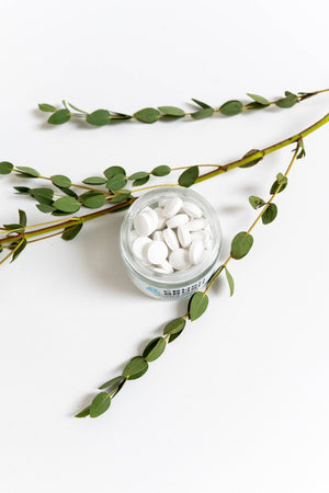 Crush & Brush Toothpaste Tablet - MINT - Painted Door on Main