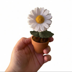 Daisy Felt Forever Flower - ForgetBKnot - Painted Door on Main