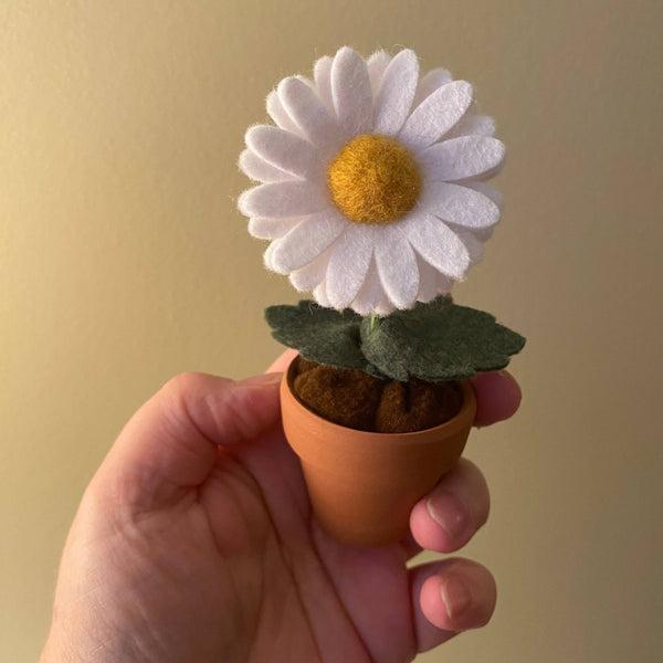 Daisy Felt Forever Flower - ForgetBKnot - Painted Door on Main