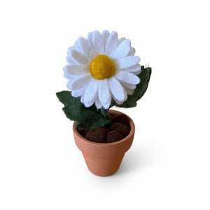 Daisy Felt Forever Flower - ForgetBKnot - Painted Door on Main
