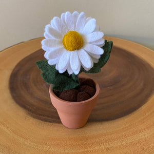 Daisy Felt Forever Flower - ForgetBKnot - Painted Door on Main