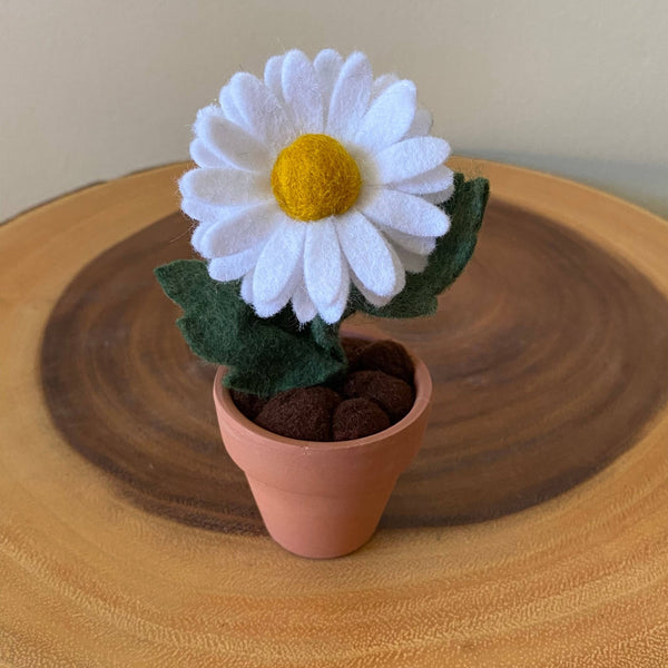 Daisy Felt Forever Flower - ForgetBKnot - Painted Door on Main