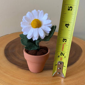 Daisy Felt Forever Flower - ForgetBKnot - Painted Door on Main