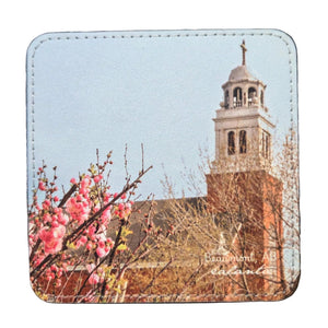 Ealanta Photography Coasters - Painted Door on Main