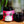 Elderberry Juice DIY Kit - Bush Berry - Painted Door on Main