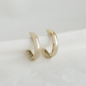 Essential Hoops - Petit Gold - Painted Door on Main