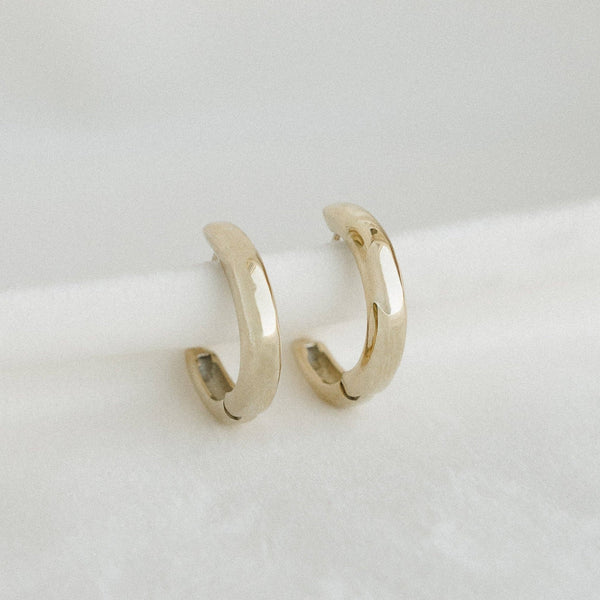 Essential Hoops - Petit Gold - Painted Door on Main