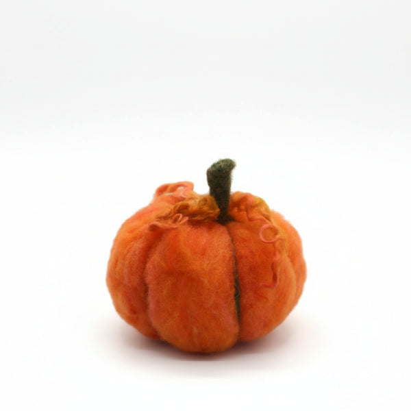 Felted Pumpkins - Elaine Grandon Fibre Arts - Painted Door on Main