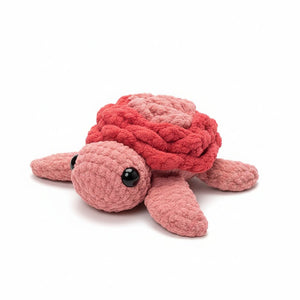 Flower Shell Turtles - Painted Door on Main