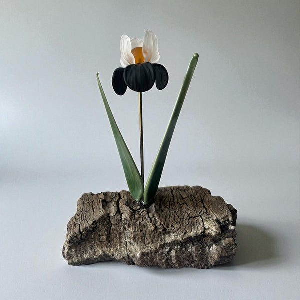 Flowers on Driftwood - Gaia's Glasswear - Painted Door on Main