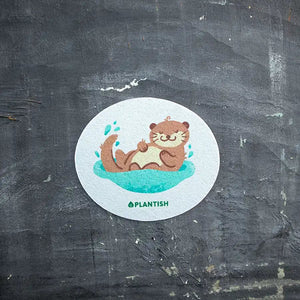 Furry Friends Pop up Sponge Set - Painted Door on Main