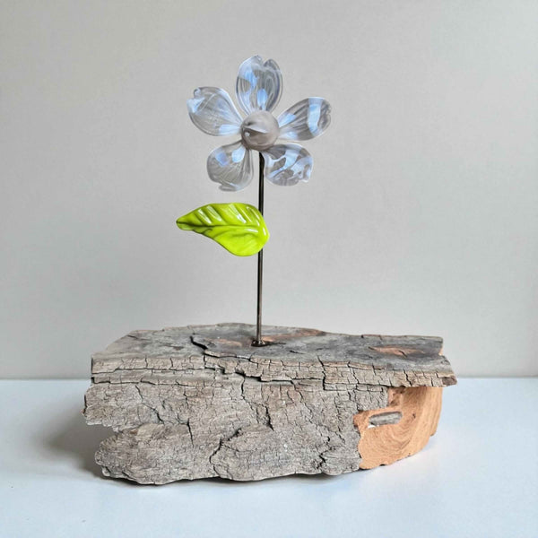 Glass Flowers - Gaia's Glasswear - Painted Door on Main