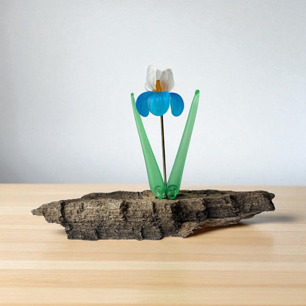 Glass Flowers on Driftwood - Gaia's Glasswear - Painted Door on Main