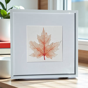GLASS MAPLE LEAF - Painted Door on Main