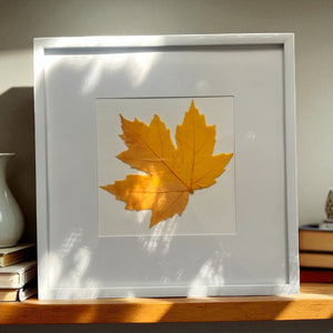 Glass Maple Leaf - Gaia's Glasswear - Painted Door on Main