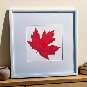 Glass Maple Leaf - Gaia's Glasswear - Painted Door on Main