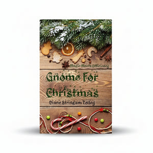 Gnome For Christmas: Magic Meets Efficiency - Diane Stringam Tolley - Painted Door on Main