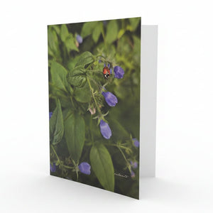 Greeting Cards - Painted Door on Main