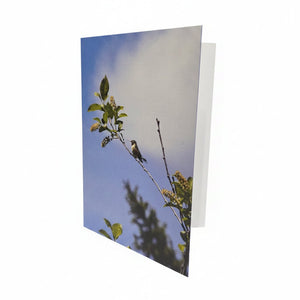 Greeting Cards - Painted Door on Main