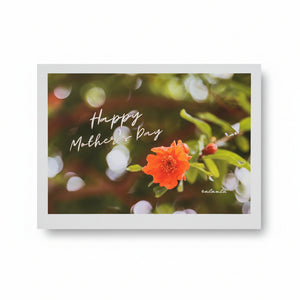 Greeting Cards - Ealanta Photography - Painted Door on Main