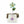 Hand - Crafted Glass Flowers on Driftwood - Painted Door on Main