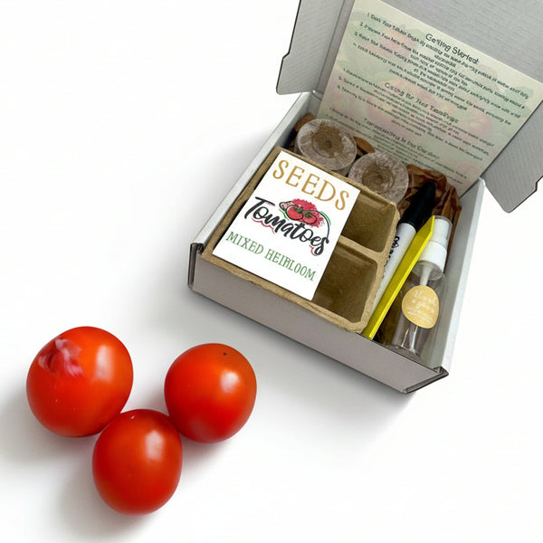 Indoor Tomato Starter Kit - Painted Door on Main