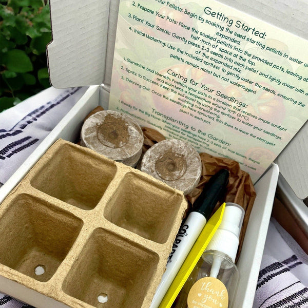 Indoor Tomato Starter Kit - Painted Door on Main