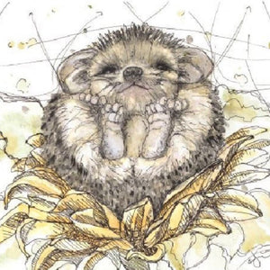 Illustrative Coasters - Art by Kyla - Painted Door on Main