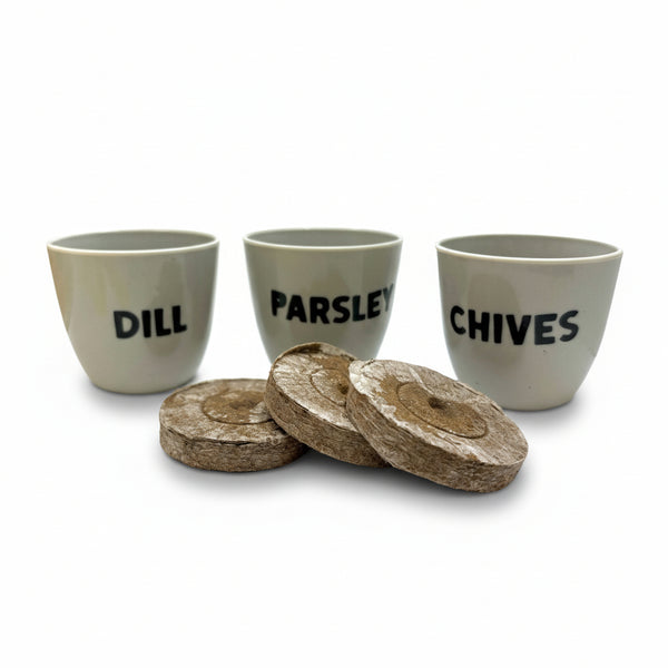 Indoor Herb Garden Starter Kit-Fuschia Designs Shop-Painted Door on Main