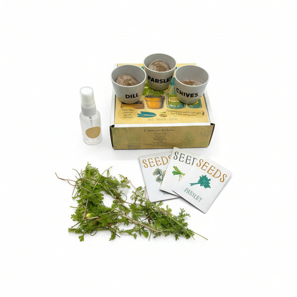 Indoor Herb Garden Starter Kit-Fuschia Designs Shop-Painted Door on Main