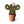 Macrame Cactus Plant - ForgetBKnot - Painted Door on Main