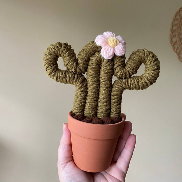 Macrame Cactus Forever Plant - ForgetBKnot - Painted Door on Main