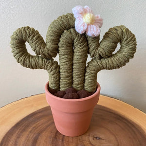 Macrame Cactus Forever Plant - ForgetBKnot - Painted Door on Main