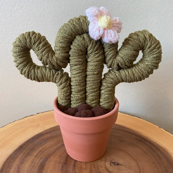 Macrame Cactus Forever Plant - ForgetBKnot - Painted Door on Main