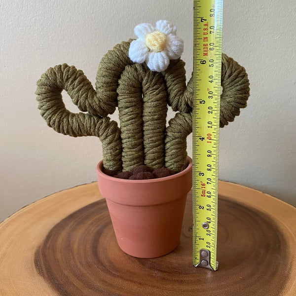 Macrame Cactus Forever Plant - ForgetBKnot - Painted Door on Main