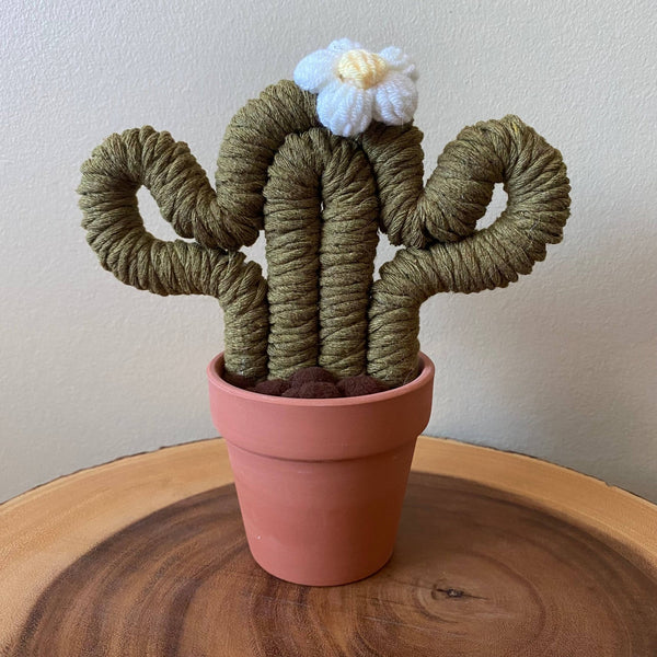 Macrame Cactus Forever Plant - ForgetBKnot - Painted Door on Main
