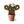 Macrame Cactus Plant - ForgetBKnot - Painted Door on Main