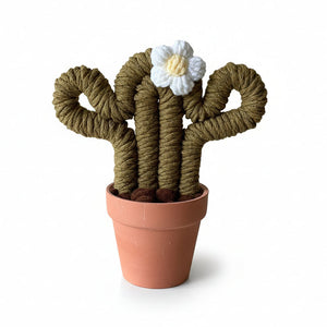 Macrame Cactus Plant - ForgetBKnot - Painted Door on Main